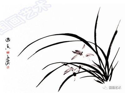 图文教程:兰花画法示范