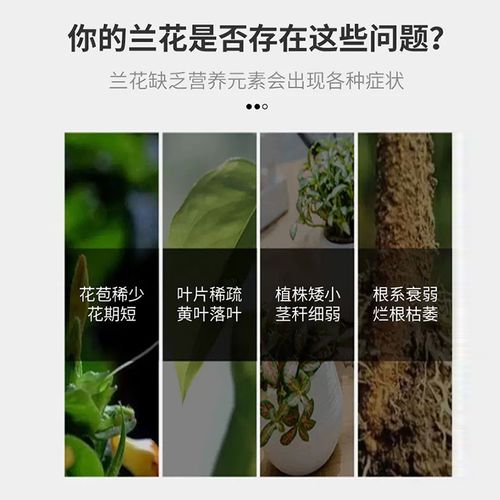 养兰必备!源头工厂八个老头兰灵王兰花专用营养液肥料em菌